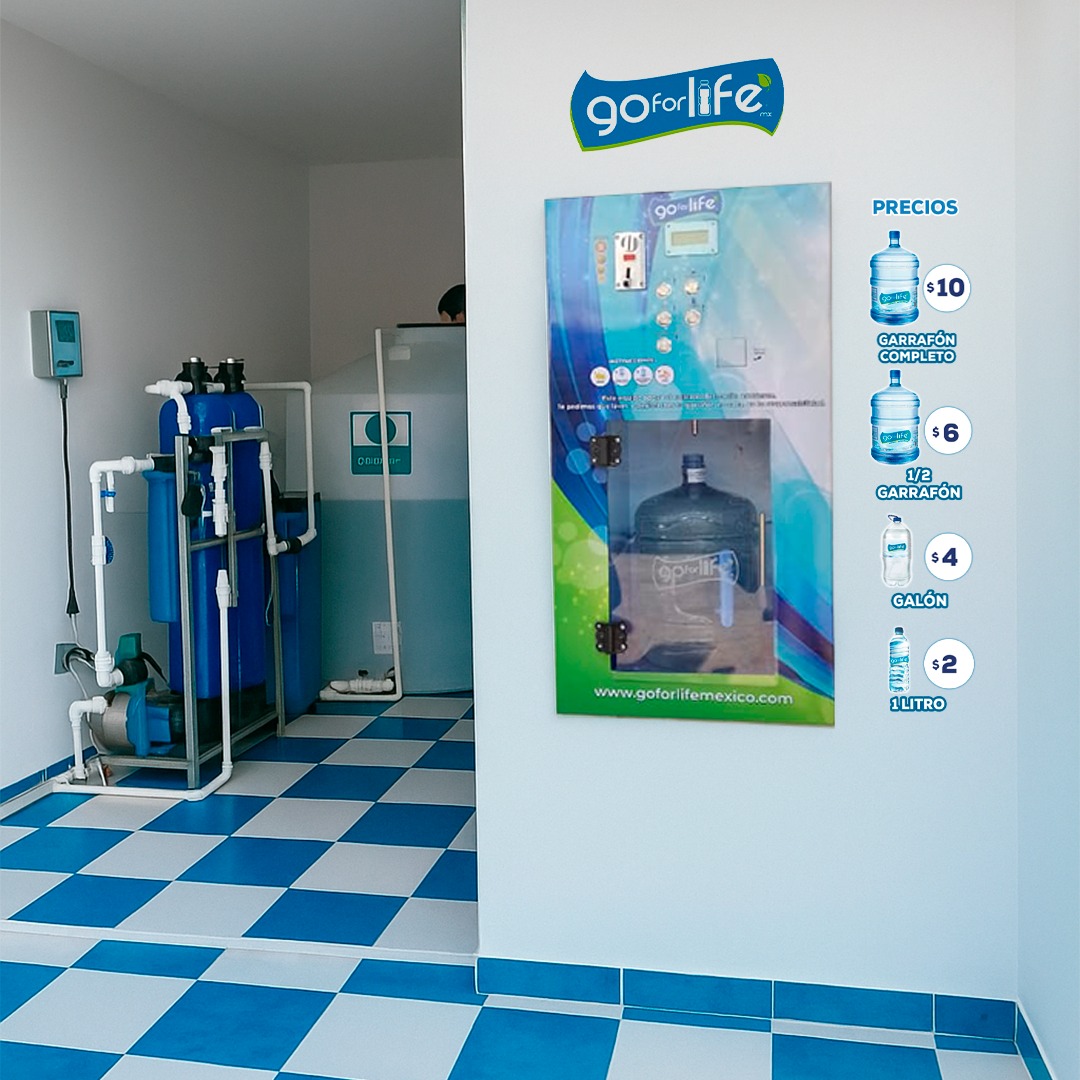 Ventanas Automáticas - Go For Life